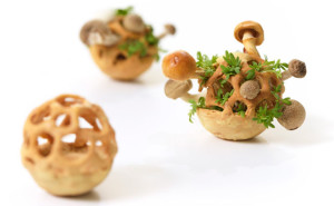 chloe-rutzerveld-edible-growth-3d-printed-living-food-3